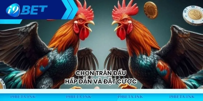 Chọn trận đấu hấp dẫn và đặt cược