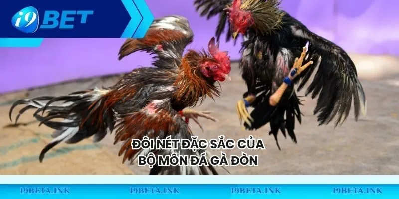 Đôi nét đặc sắc của bộ môn đá gà đòn